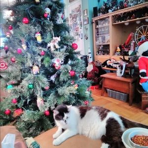 Meet your Posher, John